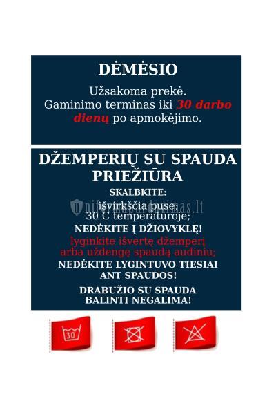 Kaišiadorių Algirdo Brazausko gimnazijos džemperis su spauda "Classsic JUODAS"